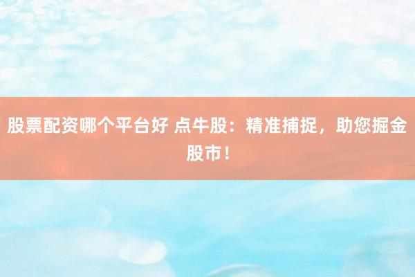 股票配资哪个平台好 点牛股：精准捕捉，助您掘金股市！