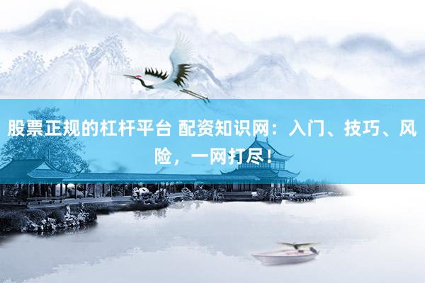 股票正规的杠杆平台 配资知识网：入门、技巧、风险，一网打尽！