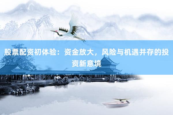 股票配资初体验：资金放大，风险与机遇并存的投资新意境