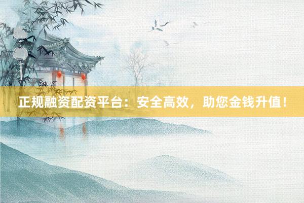 正规融资配资平台：安全高效，助您金钱升值！