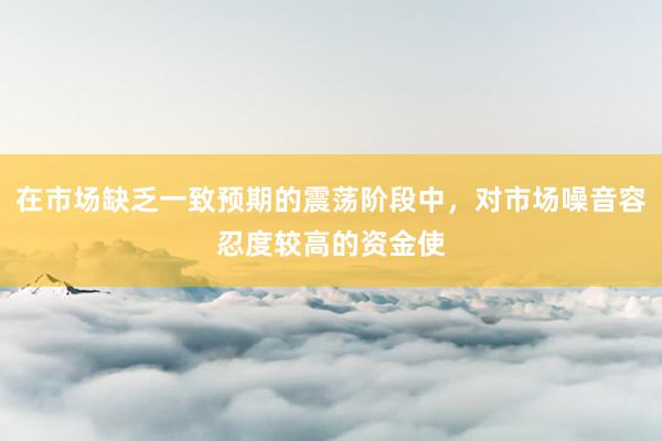 在市场缺乏一致预期的震荡阶段中，对市场噪音容忍度较高的资金使