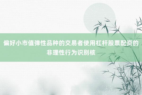 偏好小市值弹性品种的交易者使用杠杆股票配资的非理性行为识别核