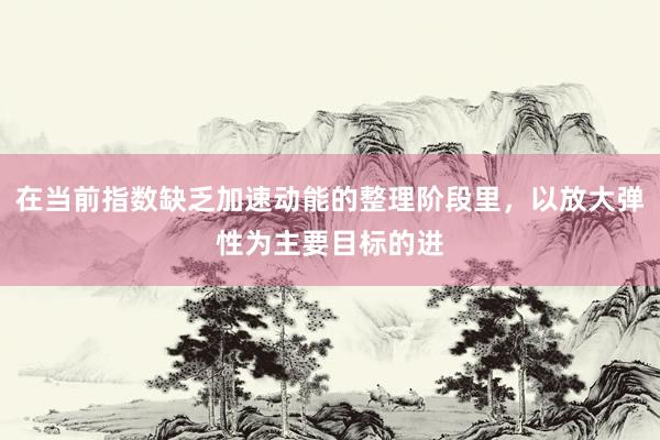 在当前指数缺乏加速动能的整理阶段里，以放大弹性为主要目标的进