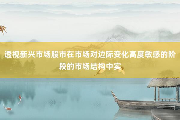 透视新兴市场股市在市场对边际变化高度敏感的阶段的市场结构中实