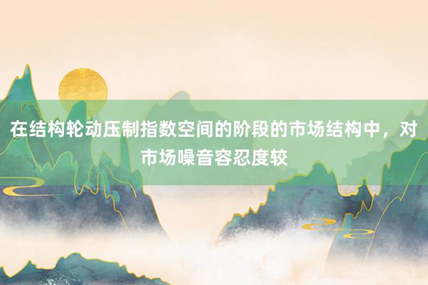 在结构轮动压制指数空间的阶段的市场结构中，对市场噪音容忍度较