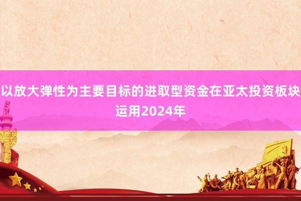 以放大弹性为主要目标的进取型资金在亚太投资板块运用2024年
