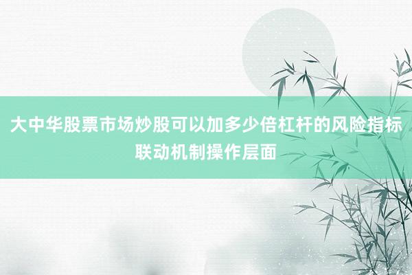 大中华股票市场炒股可以加多少倍杠杆的风险指标联动机制操作层面
