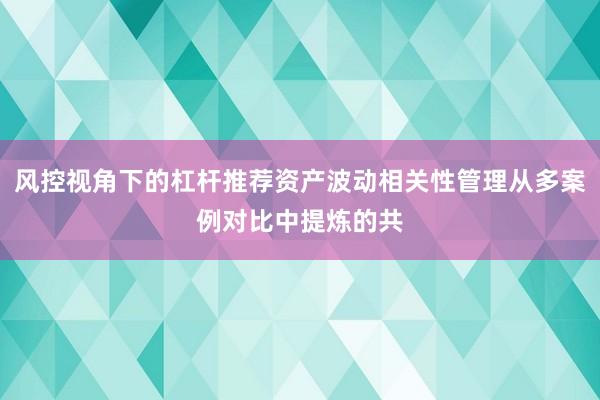 风控视角下的杠杆推荐资产波动相关性管理从多案例对比中提炼的共